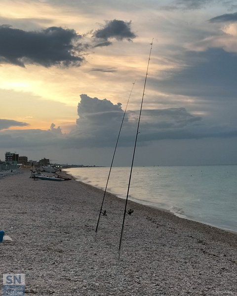 11/06/2026 - Le canne che ci piacciono
