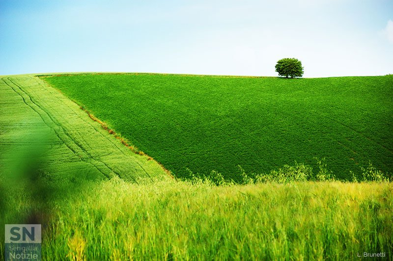29/06/2026 - Verdi colline
