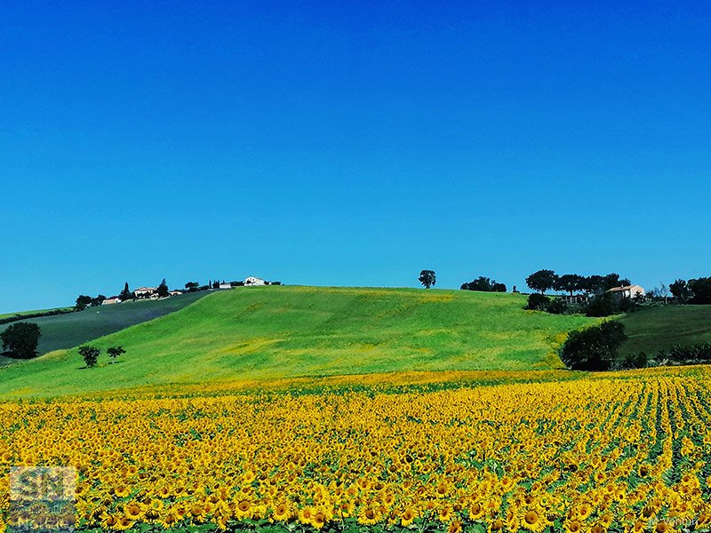 01/07/2023 - Campagna d'estate