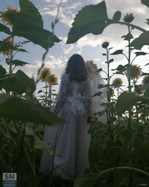 17/07/2023 - Colline di Senigallia