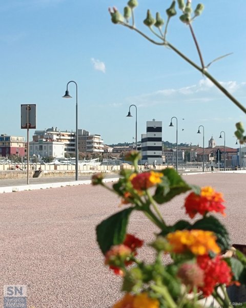 12/07/2025 - Fiori al porto