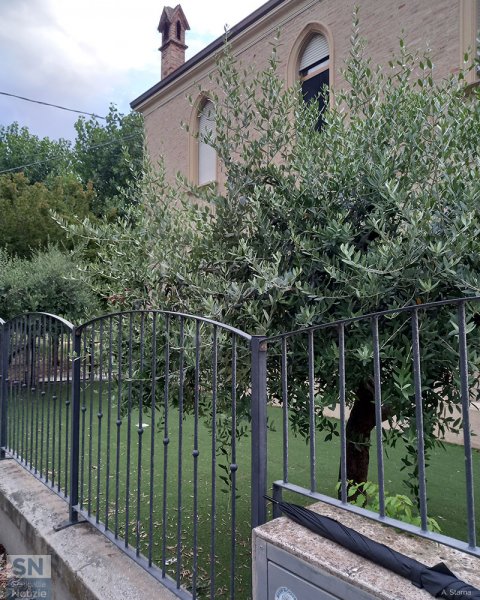 30/07/2025 - Contrasti