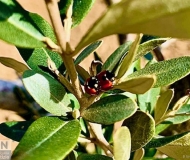 02/07/2025 - That's amore