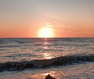 10/07/2025 - Anche lei ama il mare