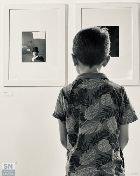 10/07/2026 - La crescita fotografica