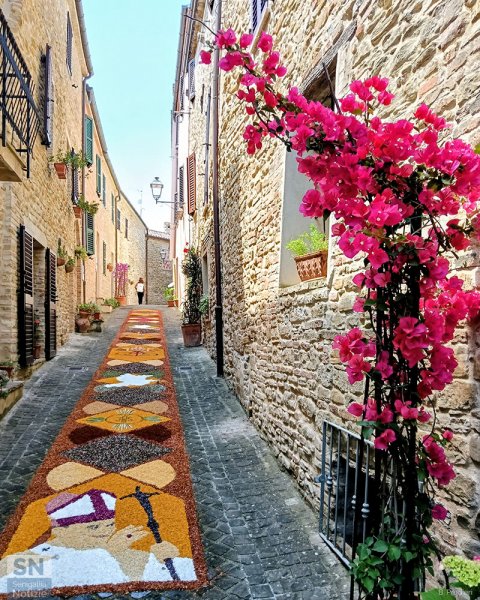 12/07/2026 - Infiorata a Castiglioni