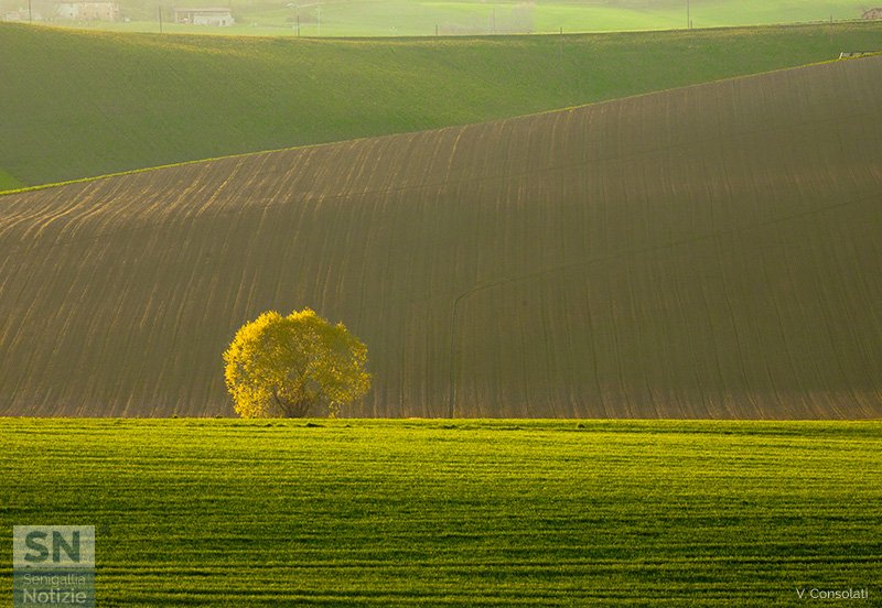 02/05/2020 - Onde di terra al tramonto