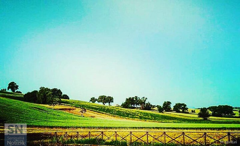 26/05/2020 - Collina al sole