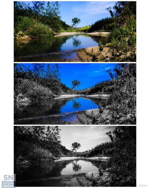 27/05/2020 - Fiume Misa maggio 2020