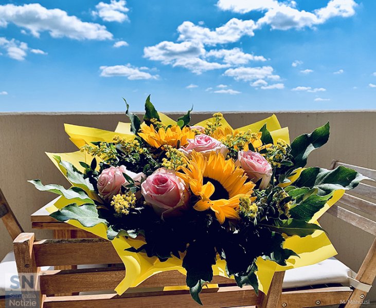 29/05/2020 - Il giallo e il blu