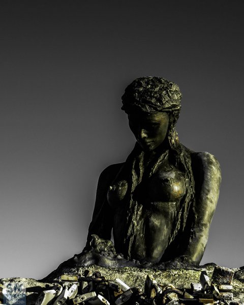 11/05/2024 - Penelope in bianco e nero... e giallo