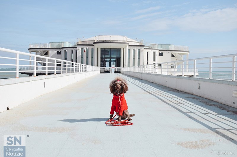 13/05/2024 - Burberry alla Rotonda