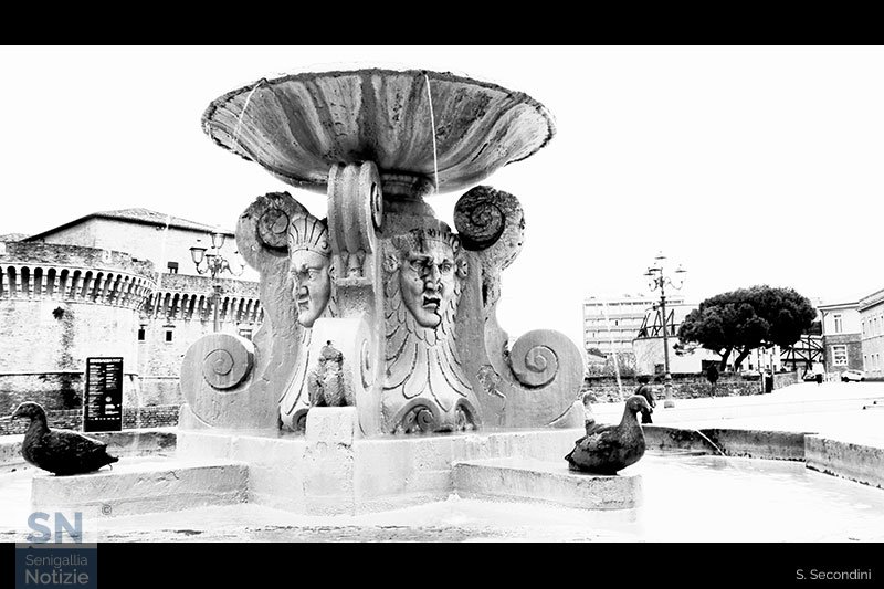 06/05/2025 - Immobili... aspettando la pioggia