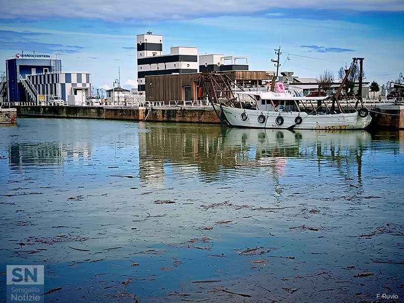 08/05/2025 - Nella darsena