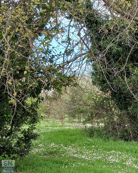 12/05/2025 - Arco primaverile