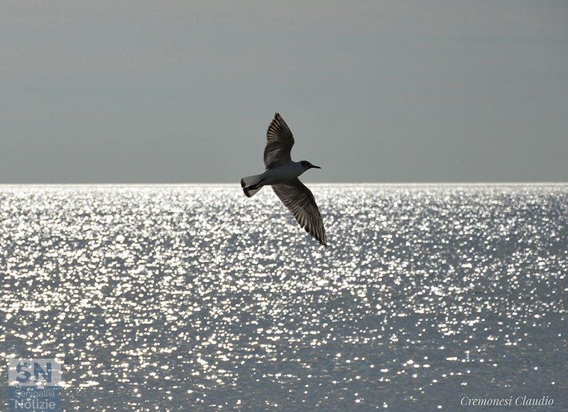 14/05/2025 - Il mare brillante di maggio