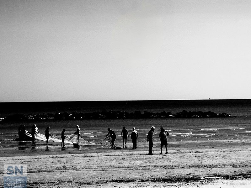 24/05/2025 - 2025 : rivive la tratta al Cesano