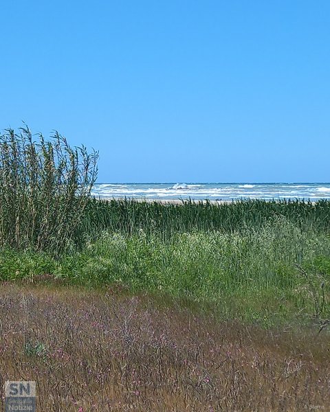 09/05/2026 - Panorama costiero