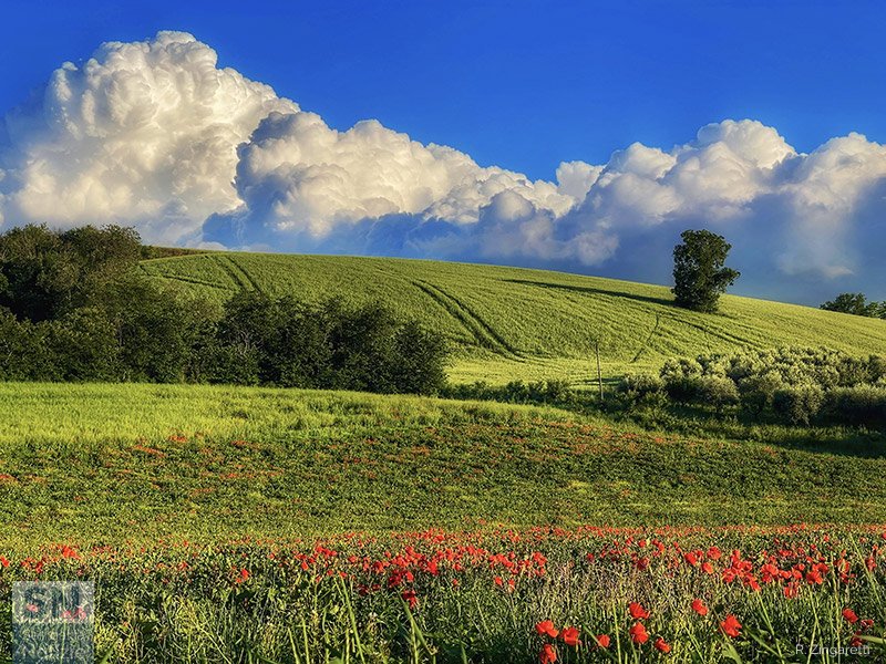 30/05/2026 - I colori di maggio