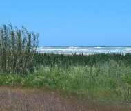 09/05/2026 - Panorama costiero
