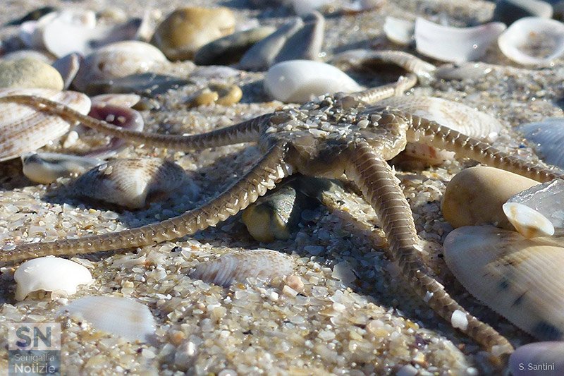 04/03/2021 - Incontri a riva