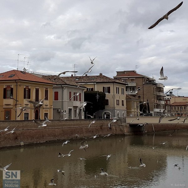 17/03/2021 - Libertà