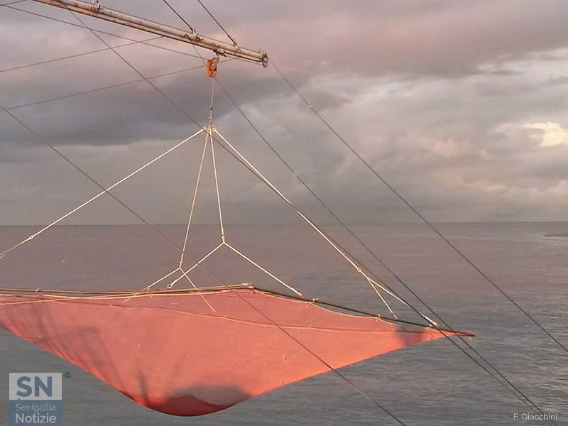 24/03/2021 - Rete rosa