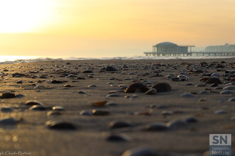 27/03/2021 - Conchiglie e Rotonda