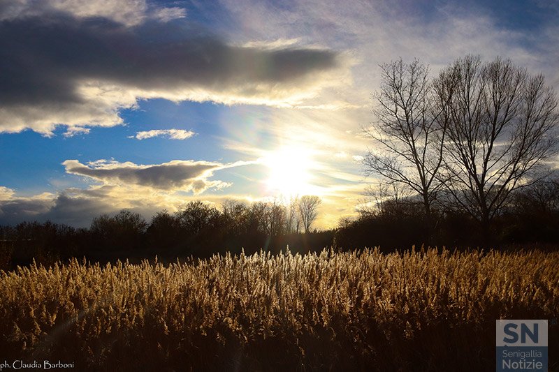 31/03/2021 - Vicino al Misa