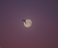 05/03/2021 - Luna mattutina