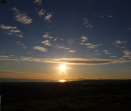 07/03/2021 - I dettagli dell'alba