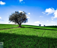 11/03/2021 - Colori di campagna