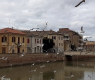 17/03/2021 - Libertà