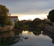 22/03/2021 - Da ponte Garibaldi