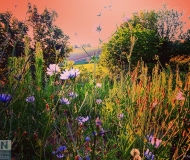 25/03/2021 - Natura che rinasce