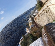 29/03/2021 - Arcevia inclinata