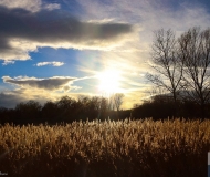 31/03/2021 - Vicino al Misa