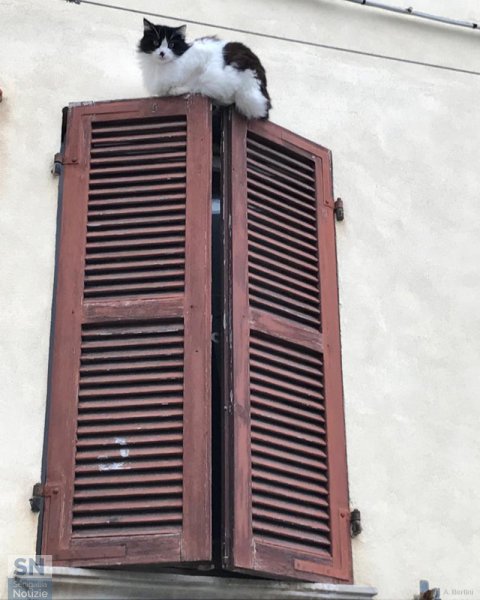 04/03/2023 - Affacciati alla finestra amore mio