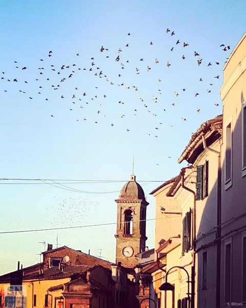 06/03/2023 - Cara Serra