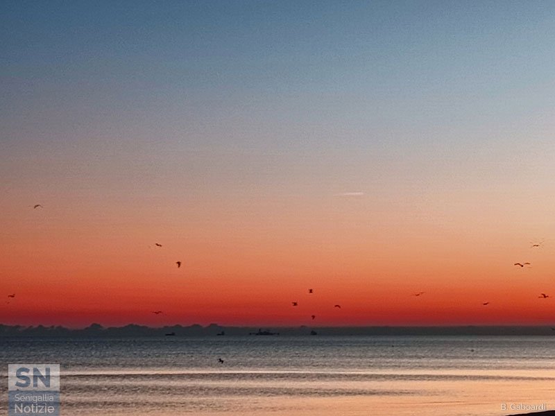 07/03/2025 - La danza dei gabbiani prima dell'alba