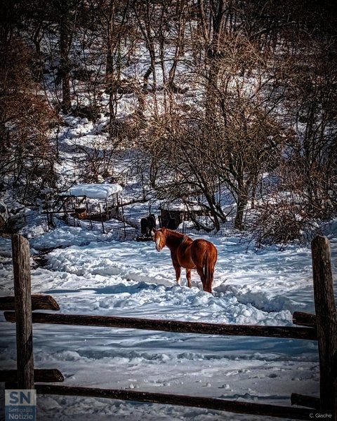 16/03/2025 - La bellezza