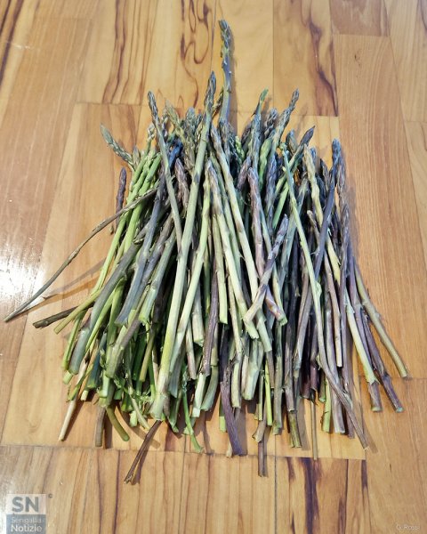 18/03/2025 - Primo assaggio di primavera