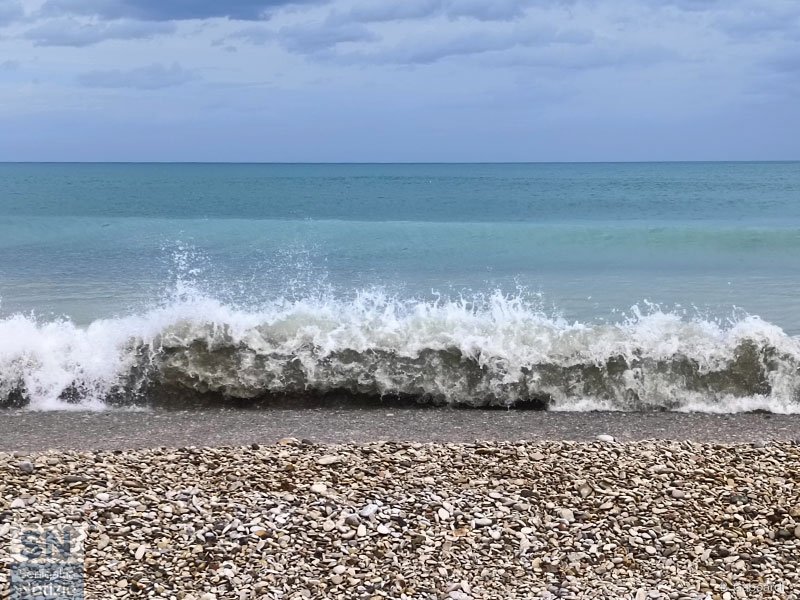 21/03/2025 - Sta arrivando la primavera