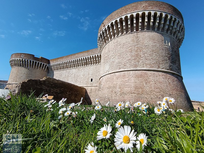 08/03/2026 - Margherite alla Rocca