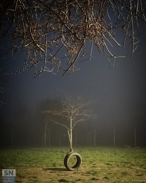 09/03/2026 - Nebbia al parco di Cesanella