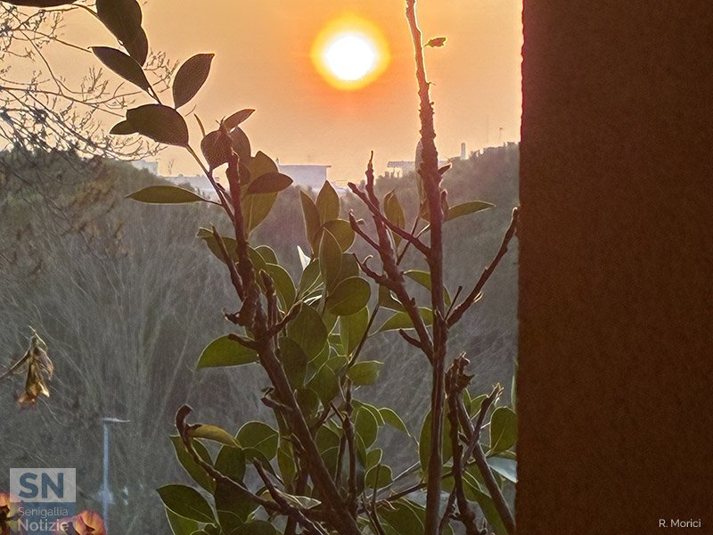 13/03/2026 - Finalmente un bel sole ai primi di marzo