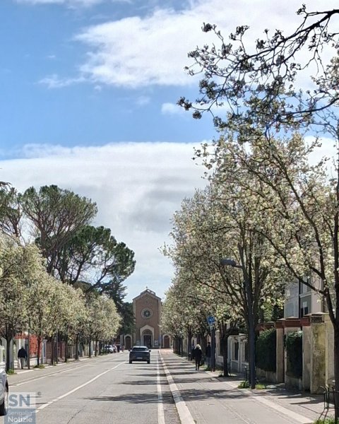 29/03/2026 - Primavera in fiore