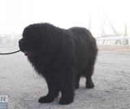 05/03/2026 - Giove nella nebbia
