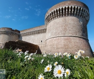 08/03/2026 - Margherite alla Rocca