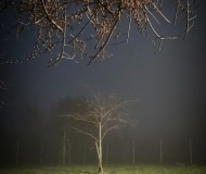 09/03/2026 - Nebbia al parco di Cesanella